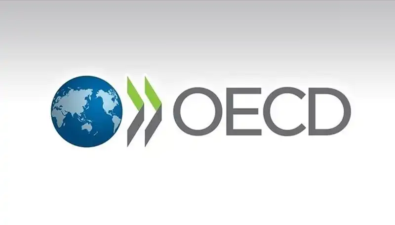 Türkiye Ekonomisi İçin OECD Büyüme Tahmini: 2024 Yılında Ne Bekleniyor?
