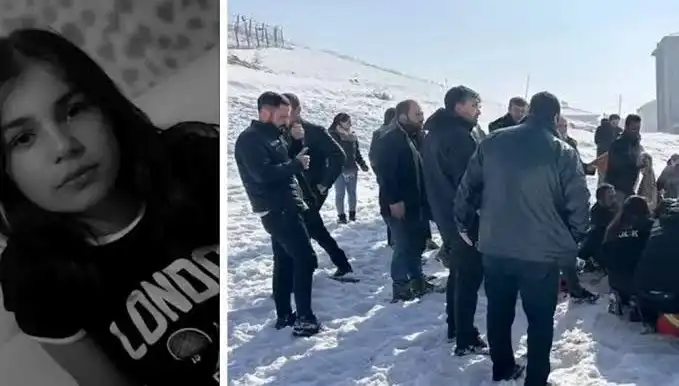 Yüksekova'da Köpek Saldırısının Ardından Belediye Başkanı'na Soruşturma İzni Verildi