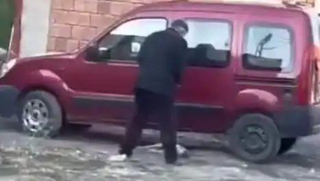 Sokak Ortasında Köpeğe Şiddet: Toplumun Tepkisi Neden Büyüyor?