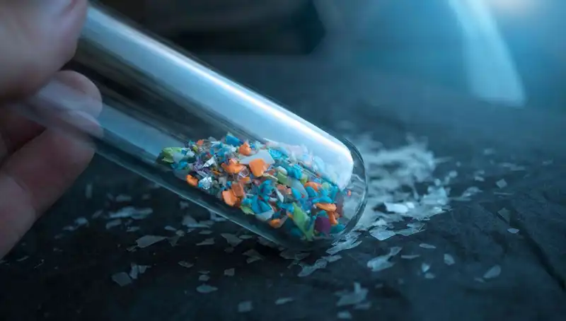 Mikroplastikler İnsan Beynine Ulaşıyor: Sağlığımızı Tehdit Eden Gerçekler