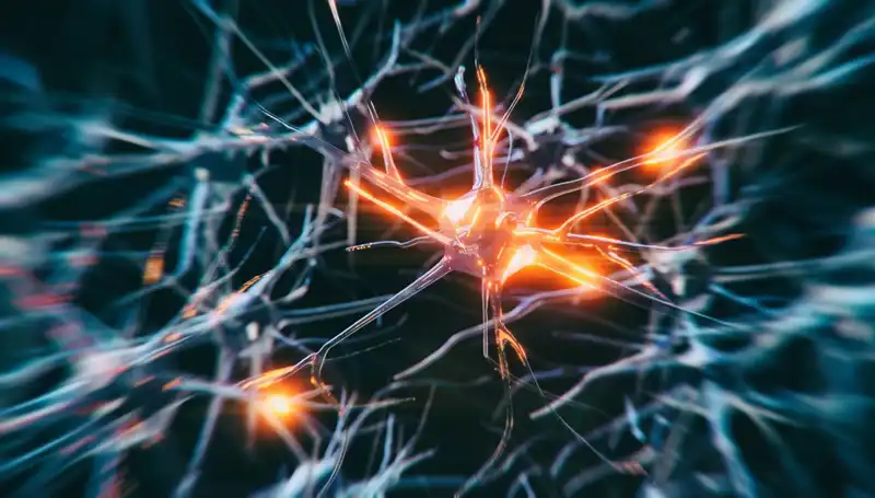 Alzheimer Vakalarındaki Korkutucu Artışın Sırları Neler?