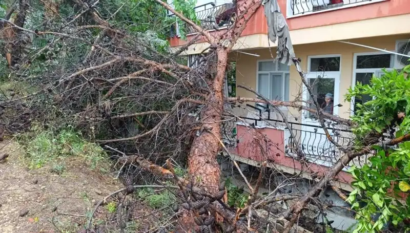 Yağmur Sonrası Bir Binanın Çöküşü: Şehirde Panik Yaratan Olay