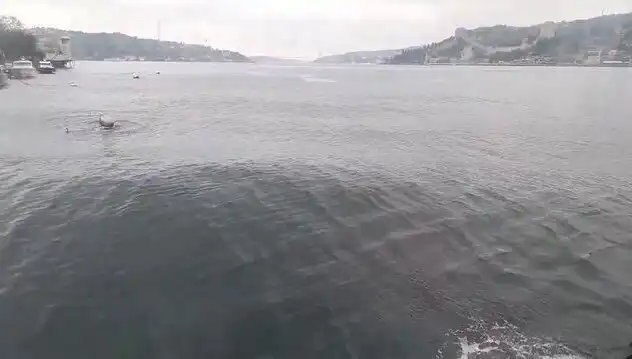 İstanbul Boğazı'nda Gizemli Dalgalar: Neden Yükseldi ve Ne Oluyor?