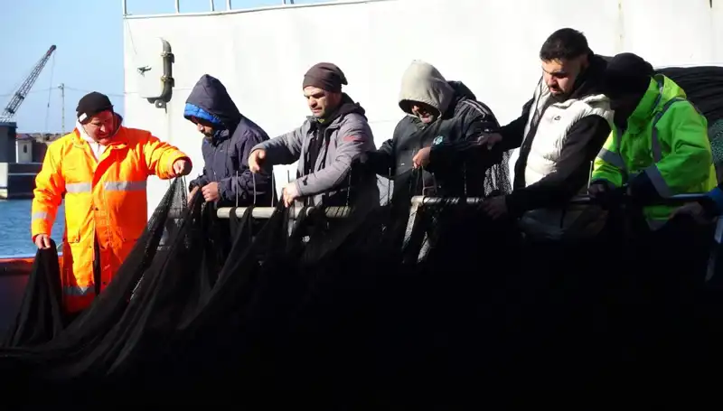 Denizlerimizde Hamsi Krizi: Balıkçılar Erken Paydos Etti!