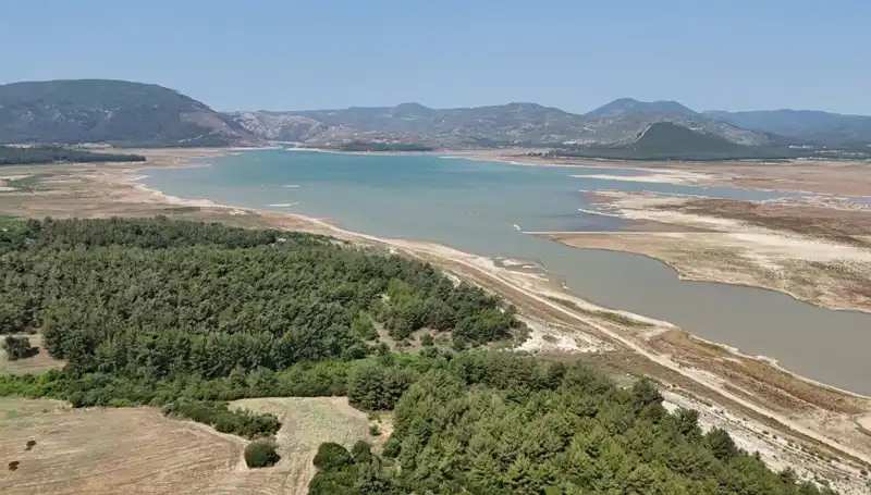 İzmir'de Ecza Depolarında Tehlike Çanları: İlaç Temininde Yüzde 50 Düşüş!