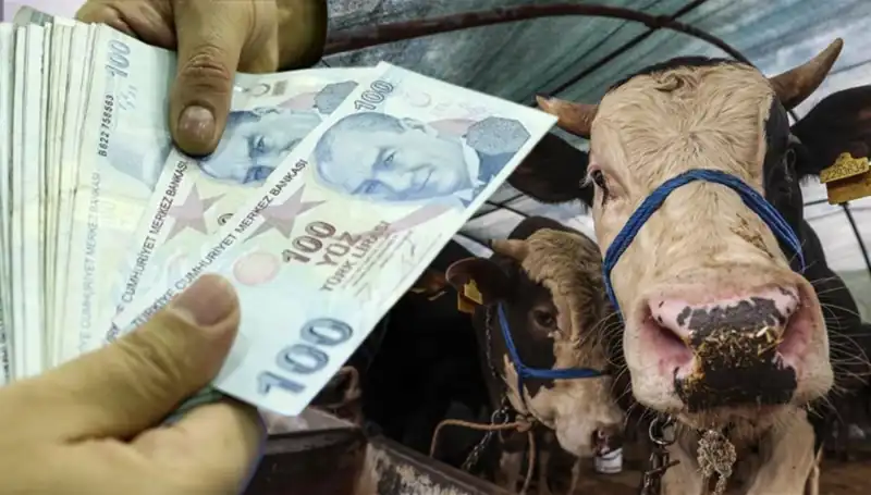 Kurban Bayramı Öncesi Maaşlar Yatacak mı? Emekliler ve Memurlar Dikkat!