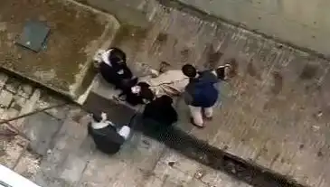 Kampüste Köpek Paniği: Kaçarken Düşen Öğrenci Hastaneye Kaldırıldı