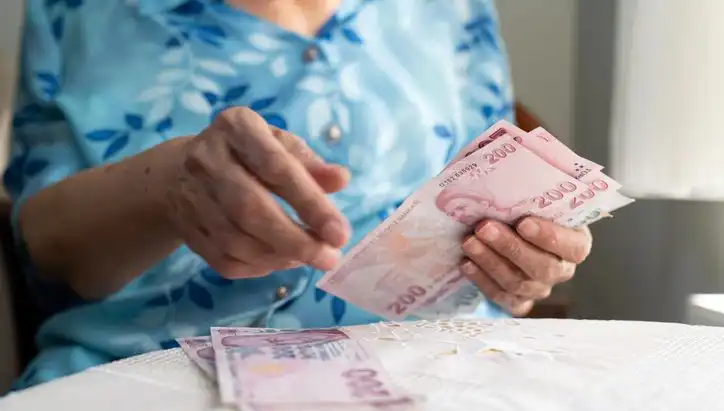 Emeklileri Hedef Alan Dolandırıcılar Daha Aktif, Peki Ne Yapmalı?