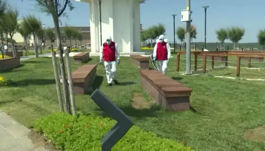 Kene Tehlikesi Artıyor: Halka Açık Alanlarda İlaçlama Çalışmaları Başladı