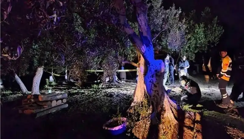 Çiftlikteki Baltalı Vahşet Ortaya Çıktı: İlk Tutuklama Gerçekleşti