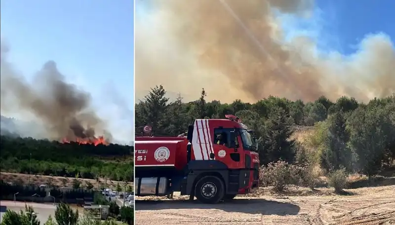 Gebze'de Orman Yangını: Yangınla Mücadele ve Son Durum Açıklandı