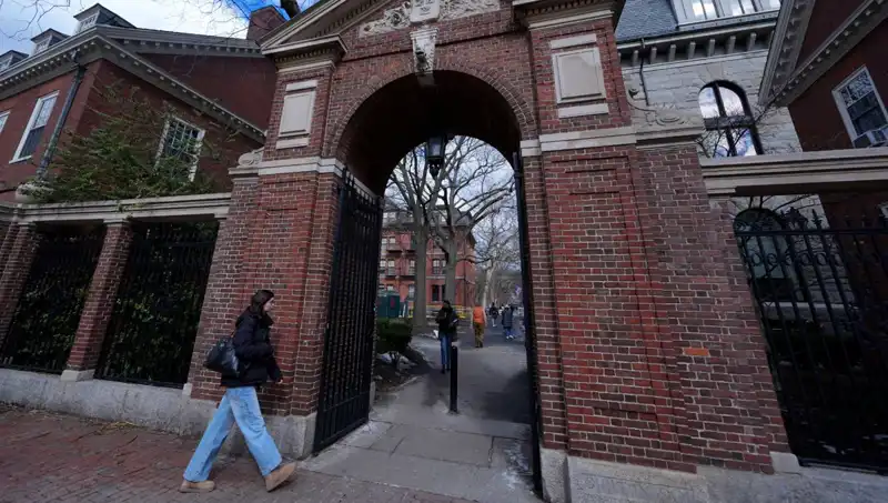 Harvard Profesörleri, Trump Yönetimine Dava Açıyor: Anayasa Mücadelesi Başladı
